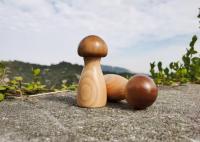 176g KRG-033 Adjustable Salt & Pepper Grinder In Mushroom Design