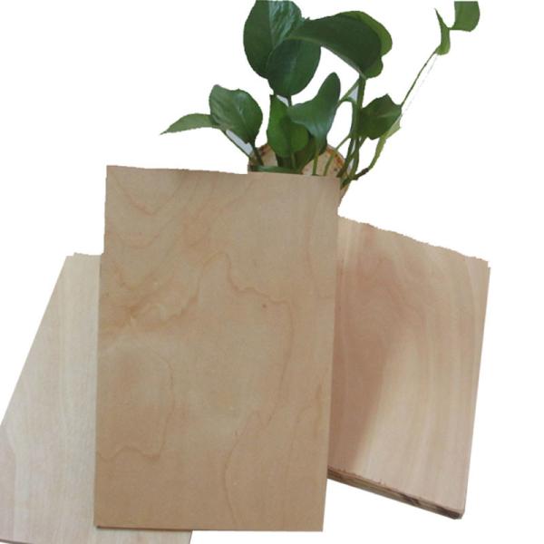 Full Hardwood Core MR 12mm Film Faced Birch Plywood