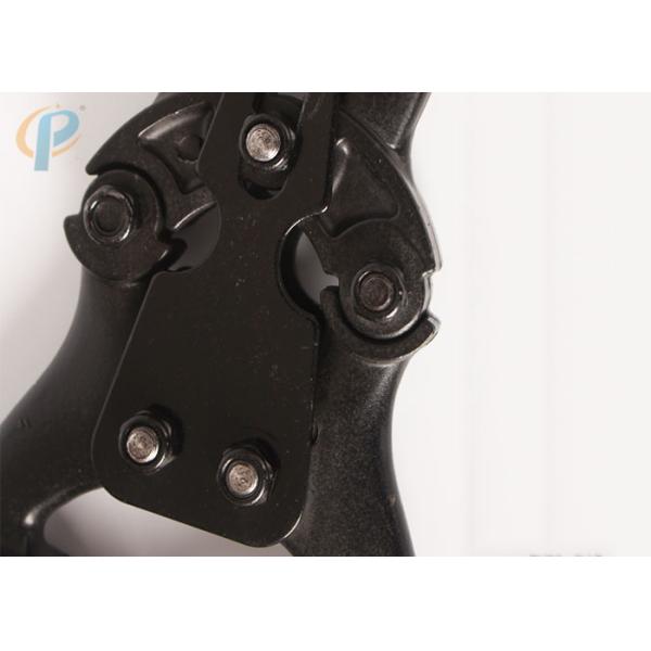 Скотины прибора машинного оборудования молокозавода пинцетов копыта коровы обувая струбцину пинком починки лошади плоскогубцев