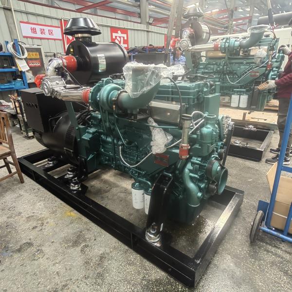50HZ/60HZ Frequency Natural Gas Generator 100kw 200kw 300kw 500kw 1 mw for Outlet