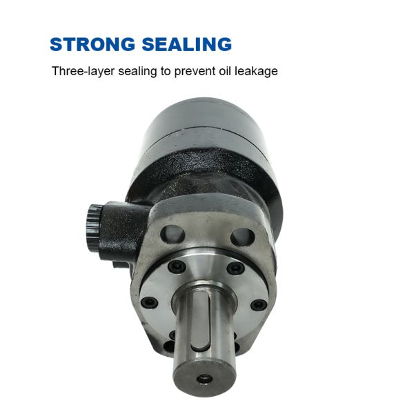 Heavy Duty Wear Resistant Hydraulic Motor Pump for Putzmeister with Strong Sealing Design