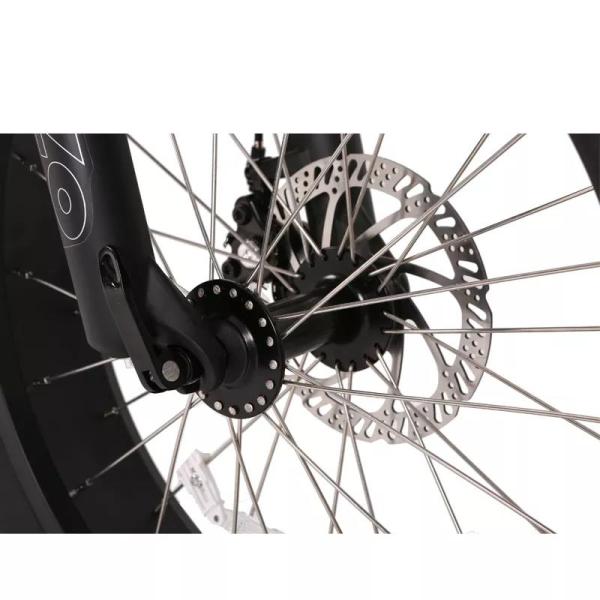 2024 20 inch Snow Fat Tire Electric Bike with 48V 13Ah Battery and Torque of 30-50 Nm