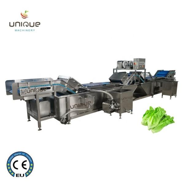 Stainless Steel 304 Onion and Parsley Leaf Vegetable Washing Machine with Performance