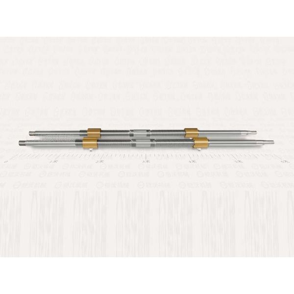 High Precision Double Nut Ball Screws Zero Backlash And Low Vibration Twin Lead Screw