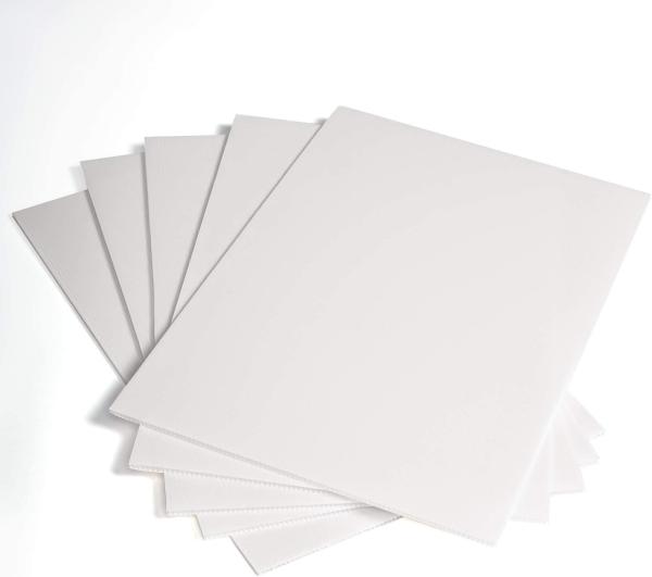 Unleash the Potential of PP Coroplast Sheet in Your Packaging and Advertising
