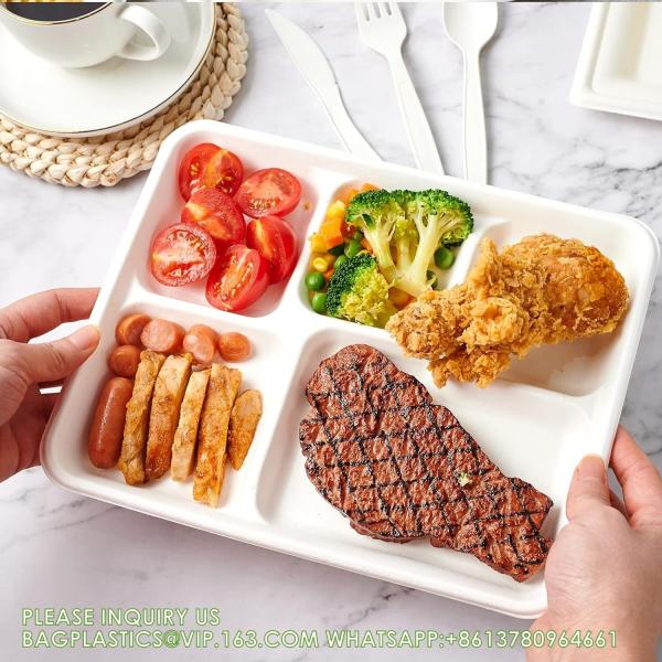 5 Compartment Plates, 125 Pack Disposable Paper Plates, Biodegradable Sugarcane Plates, Eco-Friendly School