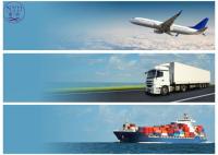 Serviço de frete profissional global da logística do transporte do DG do FBA