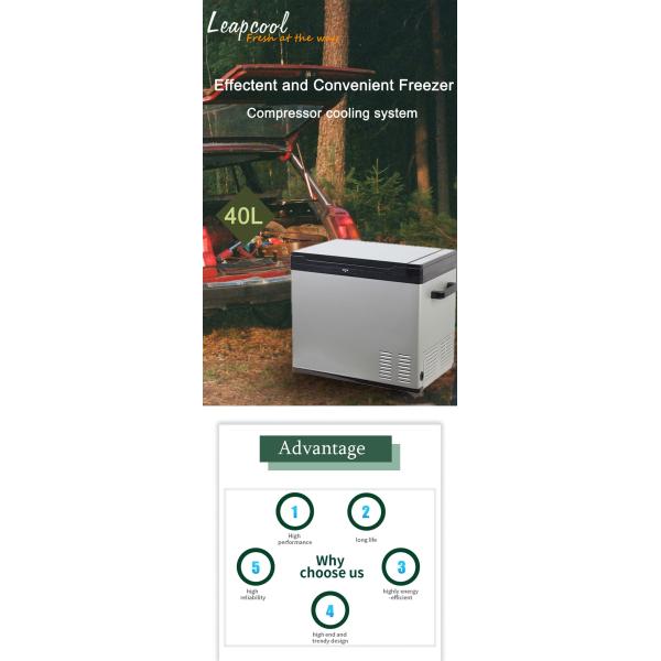 DC12V 40L Мини автомобильные холодильники морозильники рыбалка на открытом воздухе кемпинг компрессор холодильник