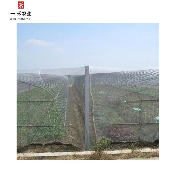 PE Agriculture Polyethylene Insect Mesh Net for Trees and Vegetable Gardens 20 Mesh Anti Insect Folding