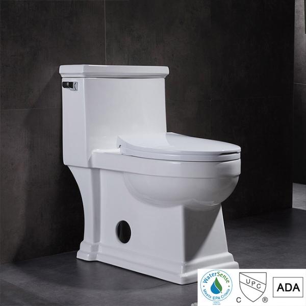 Ceramic Ada One Piece Skirted Toilet Washroom Water Closet Compact Elongated