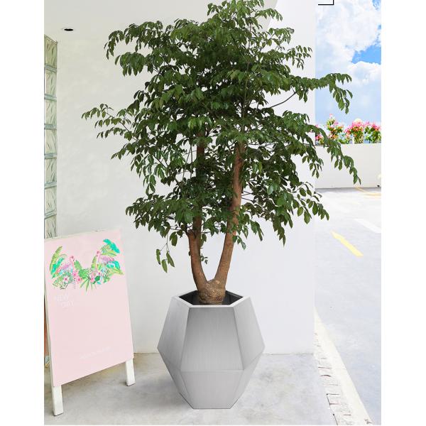 Silver Wire Drawing Polygon 3.0mm Ss Planter Pots Mall Decoration