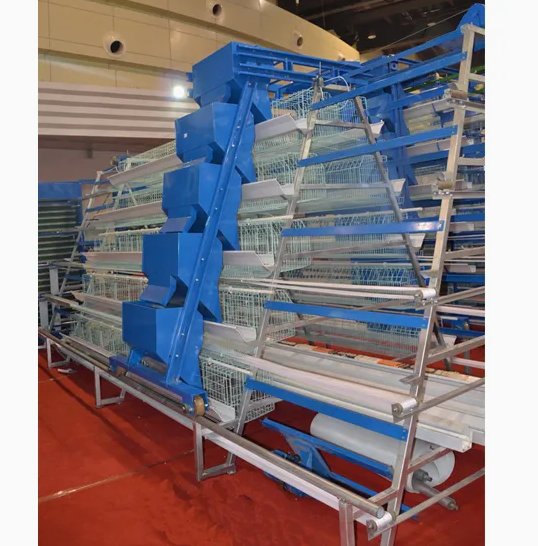 30-Year Lifespan Chicken House Farming Equipment with Large Clear Span and Corrosion Resistance for Poultry Shed