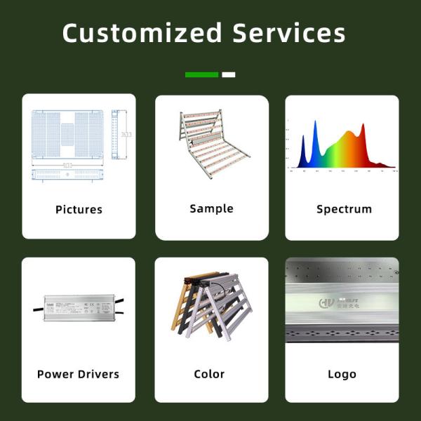 ANDY Customizable Hydroponic Samsung LM301H EVO Dual-channel 1100W LED Grow Light with UV