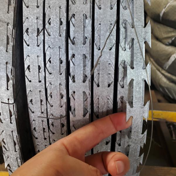 10000 gaiola automática da galinha da camada do fio PVOC dos pássaros