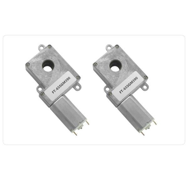 FT-65SGM390 Worm Geared Motor 24V 12V DC Gear Motor for Intelligence Door Lock