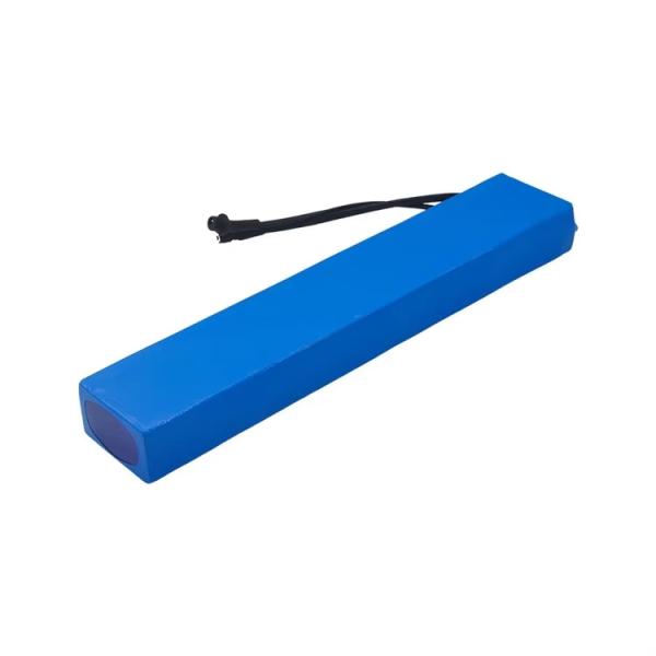 Amped 48v 24v 100ah Lithium Ion Battery for Electric Scooter
