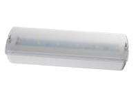 Petite taille rechargeable de réserve extérieure de lumière de secours du mur LED avec la couverture givrée