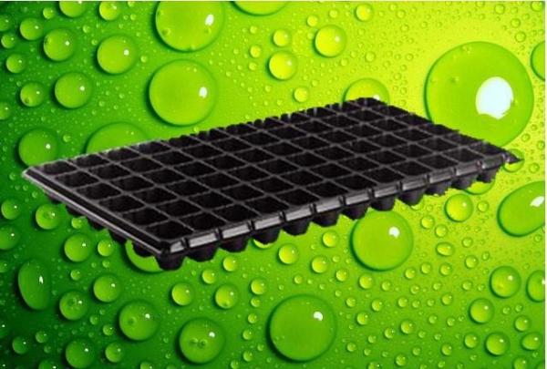 New design 200 cells seed tray for propagation plant growing trays Planting tray for green house and farm with great price