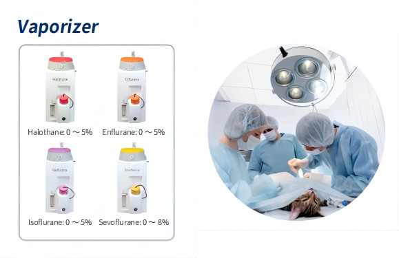 Вентилятор наркотизации ВЕТЕРИНАРА машины 110V-240V наркотизации DM6E ветеринарный