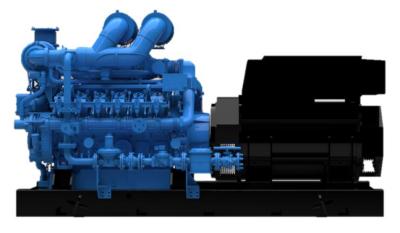 YC12VTDG-700N5HC 800kw Natural Gas Generator Container Yuchai Gas Generator Set
