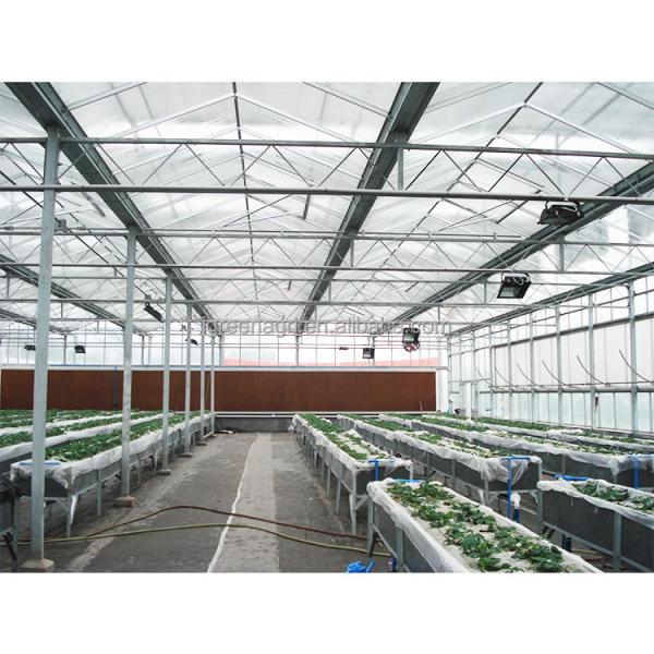 Steel Flame Multi Span Greenhouse Commercial Glass Greenhouse With Winter Cover And Hydroponic System