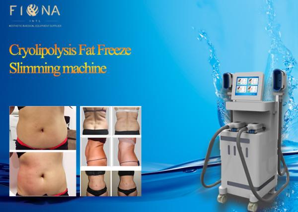 Micro Needle Fractional Rf Thermagic Skin Tightening Machines Skin Care CE Approved