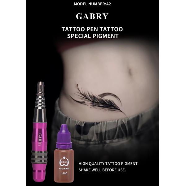 Babry Permanent Makeup Tattoo Machine Kit for Eyebrows Eyeliner Lips Tattoo Factory OEM