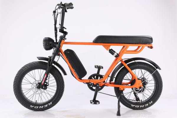 7 Speed 20 Inch Fat Tire Electric Hybrid Bike Full Suspension 250W 48V 15Ah Battery