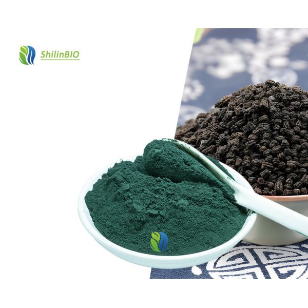 Factory Supply Water Soluble Sodium Copper Chlorophyllin Powder  Chlorophyll Powder