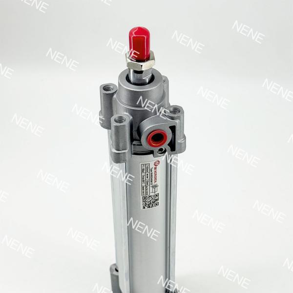 RA/802063/M/25 Short Stroke Pneumatic Cylinder IMI Norgren 63mm Bore G3/8 with ACS for Precision Clamping