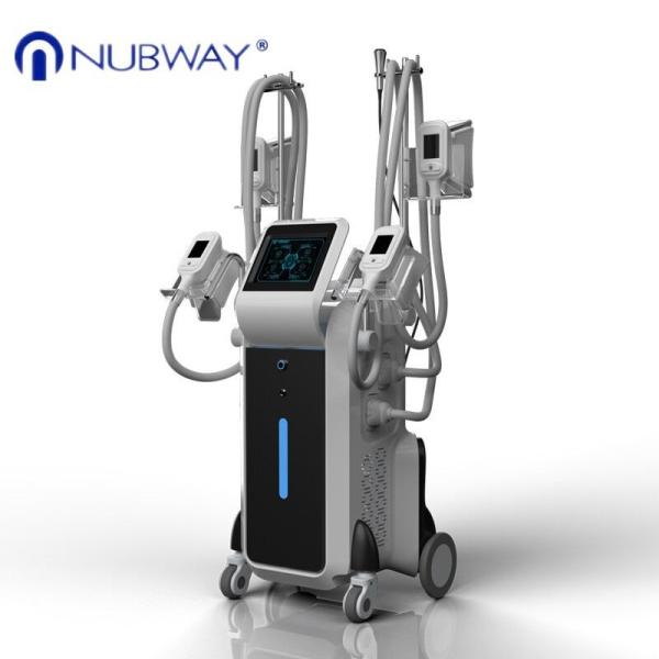 Loss Weight cryolipolysis 4 handles fda cryotherapy slimming beauty instrument for spa