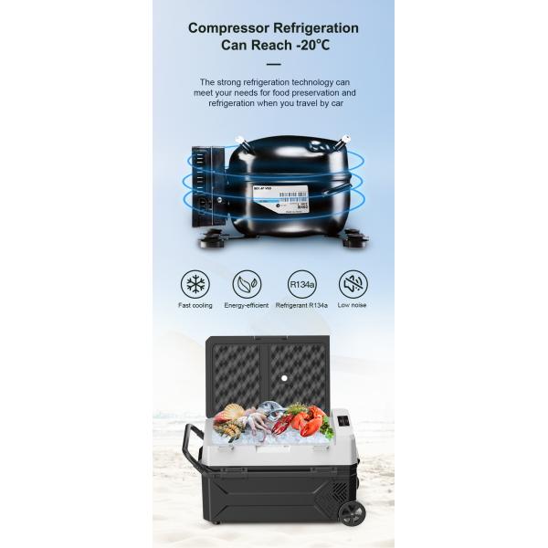 Specially Authorized IP Design Style 12-24V Car Electric Refrigerators for ACURA Fitment