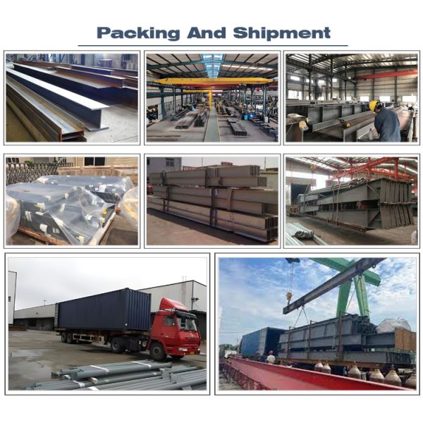 Steel Structure Public Storage Warehouse | Custom & Durable