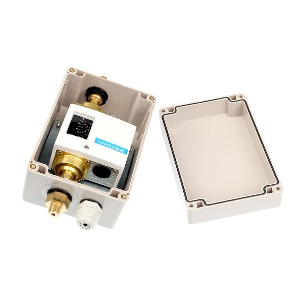 QYD(W) Waterproof Differential Pressure Switch with IP65 Protection 0.5~6 Bar Range and 125VDC/250VDC Supply Voltage