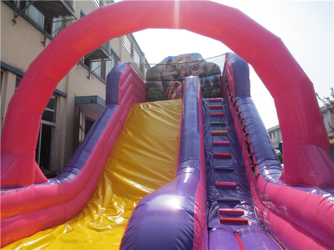 Popular Factory Custom Outdoor pink Inflatable Bouncer Slide/inflatable Dry Slide/Bounce House for Party Rentals