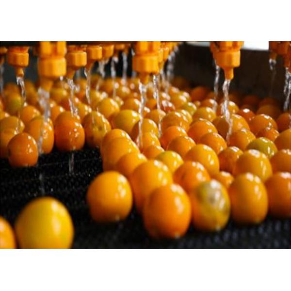 Complete Fruit & Vegetable Processing Line | Washing to Juicing | Turnkey Plant
