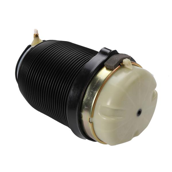 Brand New Auto Parts Air Spring For Audi A6 Rear Left And Right OE 4F616001J