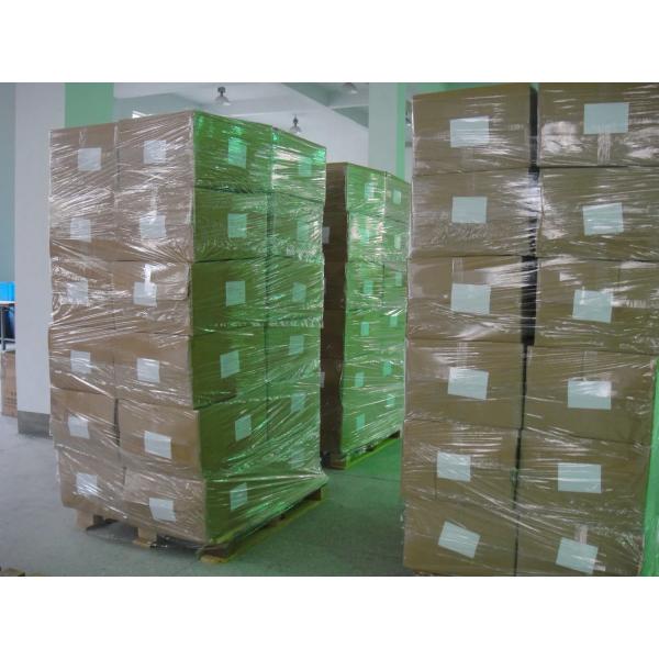 Гибкая тренировка на открытом воздухе Подложки для колен и локтей для защиты взрослых Применимые к людям