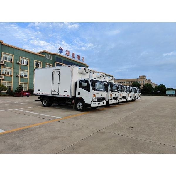 SINOTRUK 4x2 LHD Or RHD small freezer truck Refrigerator Mini Truck 95km/h