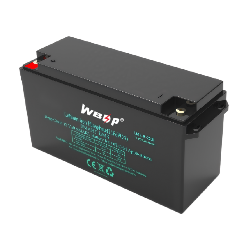 Deep Cycle 12V 200Ah LiFePO4 Battery High Capacity Off Grid Lithium Battery Customizable