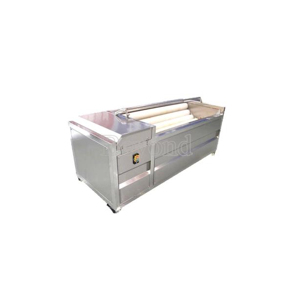 5t/H Adjustable Speed Fruit Vegetable Processing Equipment Washer