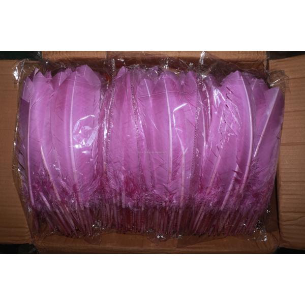 Party Decoration Colored Turkey Feathers Event Supplies 10-12 inch