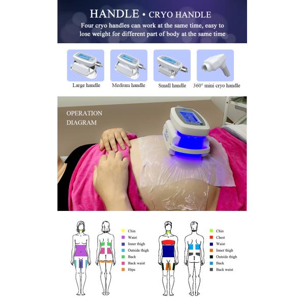 2020 New technology cryotherapy cryolipolysis body shaper slimming weight loss extracorporeal shock wave therapy equipme