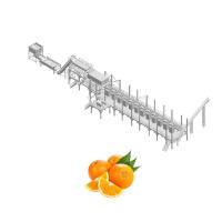 Envoltura industrial de la película del PE de la máquina de proceso del zumo de naranja de NFC