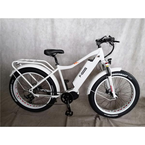 26x4.0 Inch Mountain Electric Fat Tire Bike with 1000W Diver Motor and Front Carrier