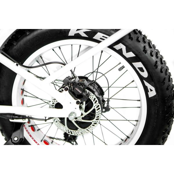 48V 21ah Lithium Battery CE Certified 1000W 50KM/H Big Snow Fat Tire Electric Folding Bike Full Suspension