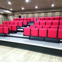 Blanqueadores interiores retractables cómodos del VIP para el lugar del auditorio