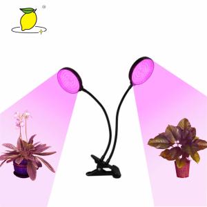 Color Charging LED Small Plant Grow Light For Greenhouse / Indoor Vegetable Grow