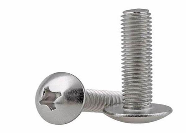 Stainless Steel ANSI AISI 304 316 Phillips Drive Cross Recessed Truss Head Screw GB973