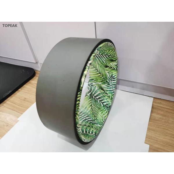 ABS Yoga Circle Wheel Back Crack Bend Stable While You Stretch 33x14cm